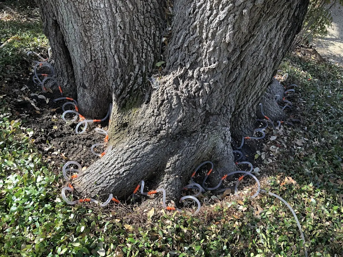 Detailed Shrub and Hedge Trimming job site in Treynor
